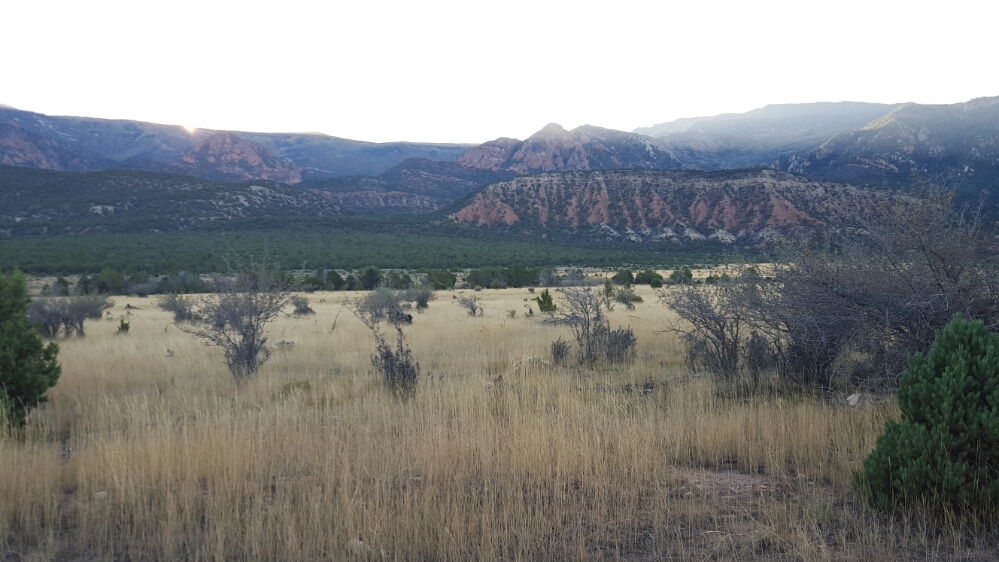 20151009_071843.jpg image