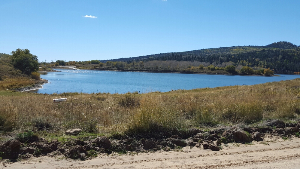 20151009_125156.jpg image