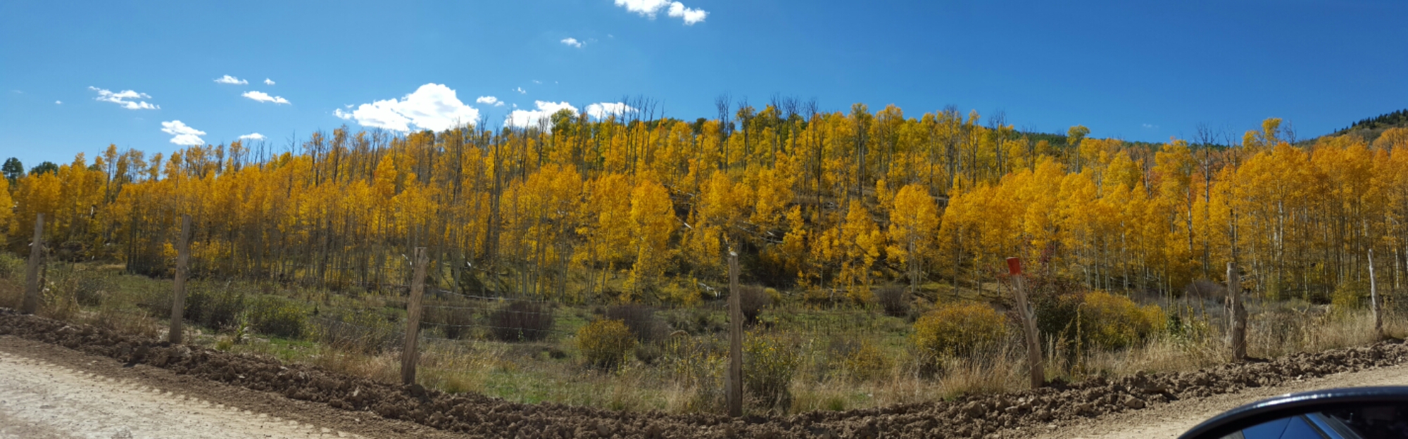 20151009_131539.jpg image