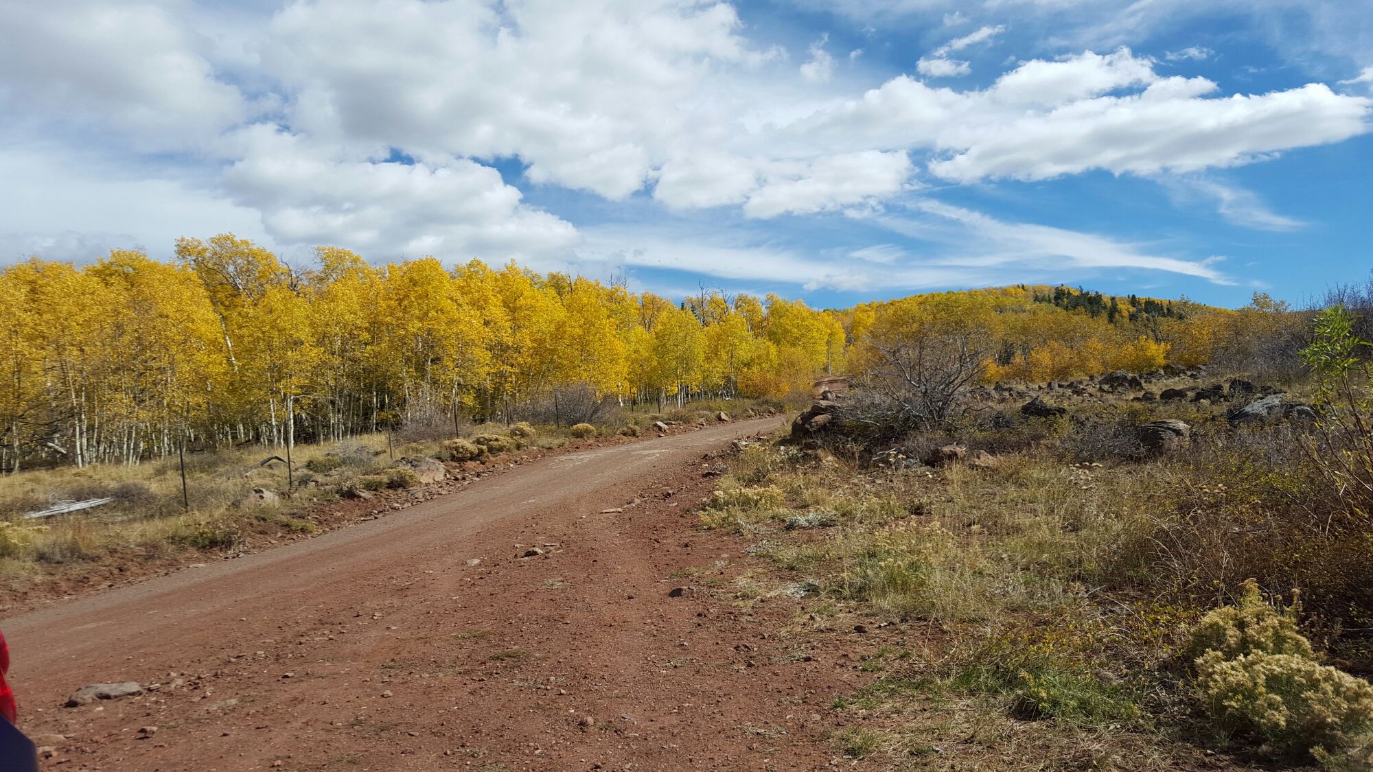 20151009_141038.jpg image