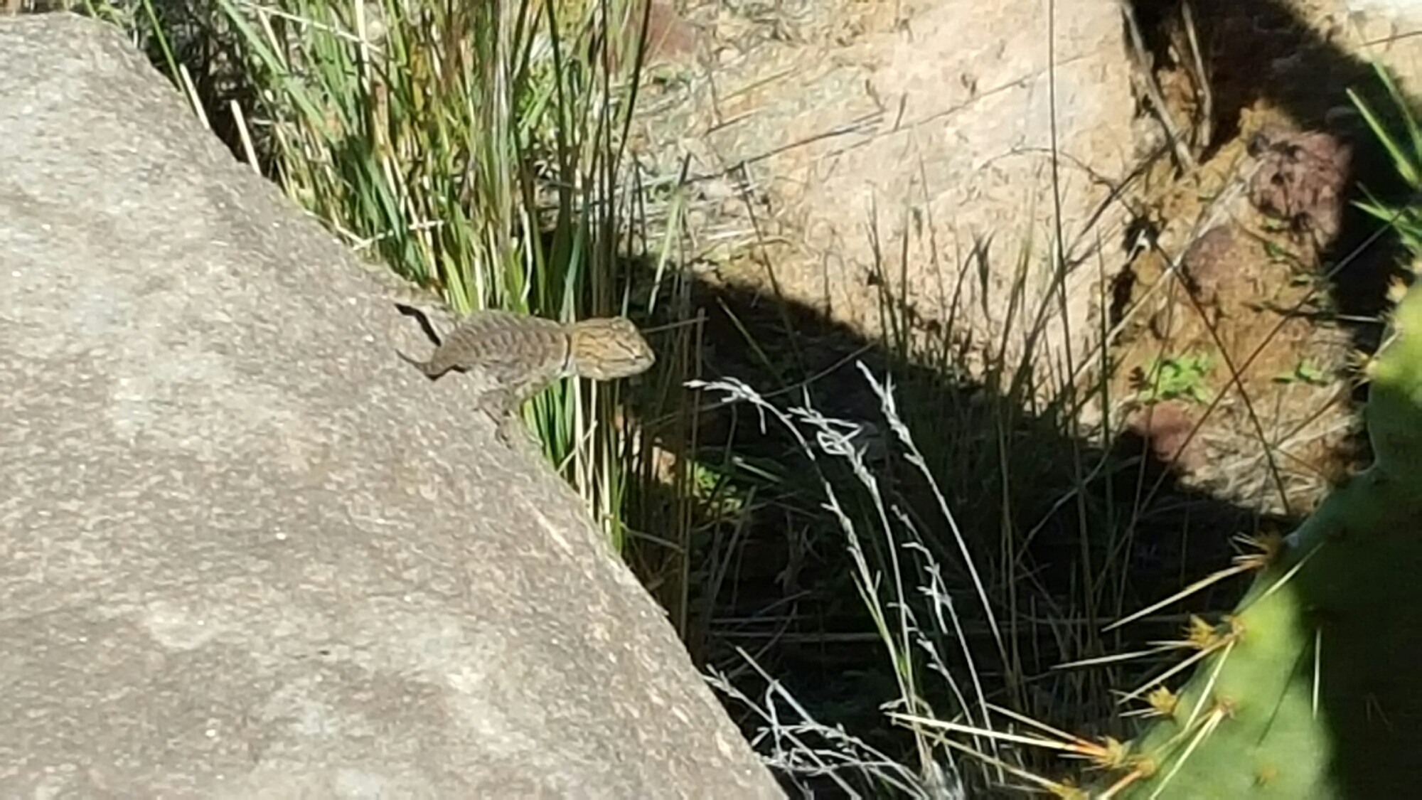 20151010_110144.jpg image