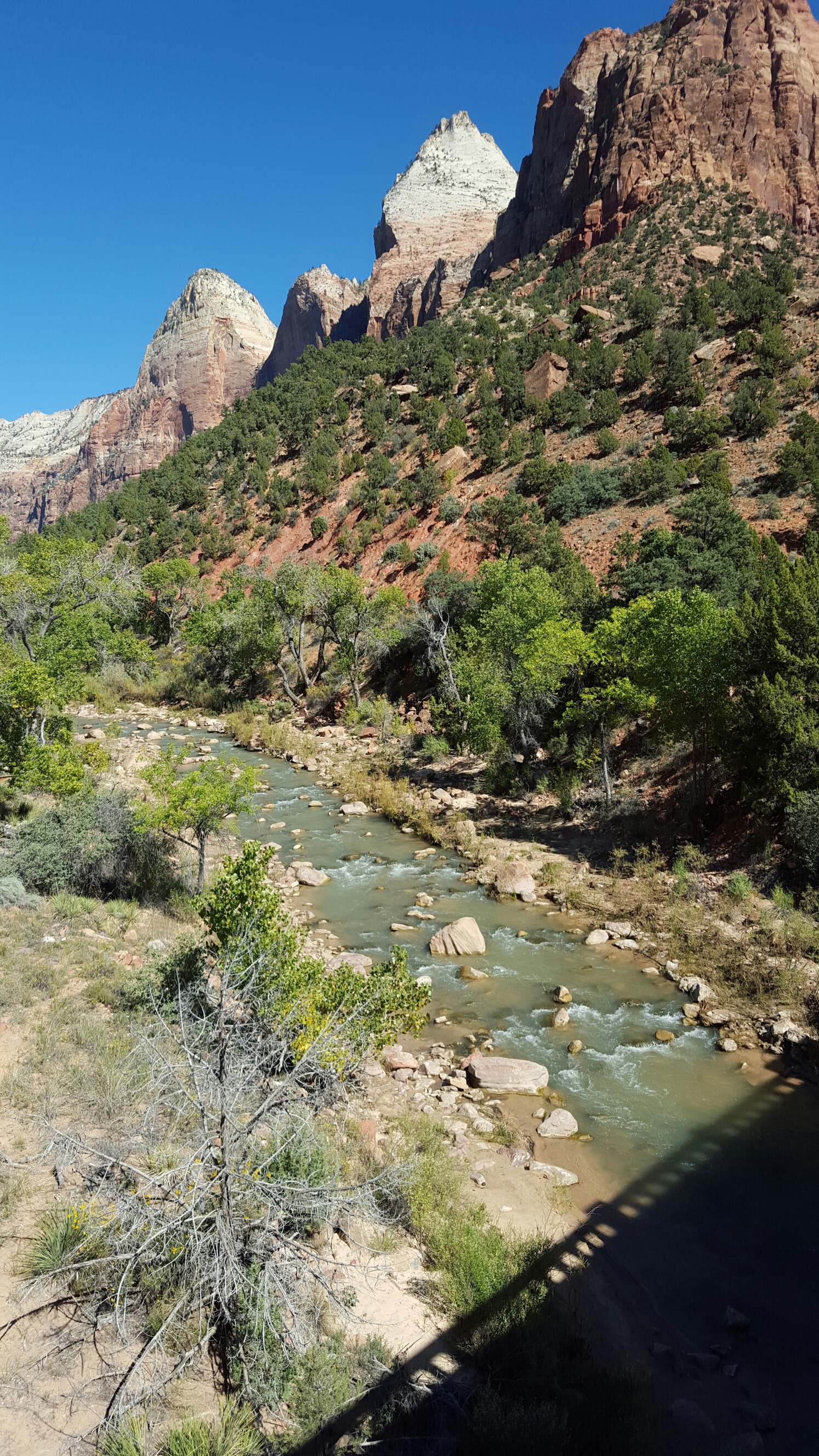 20151010_140325.jpg image