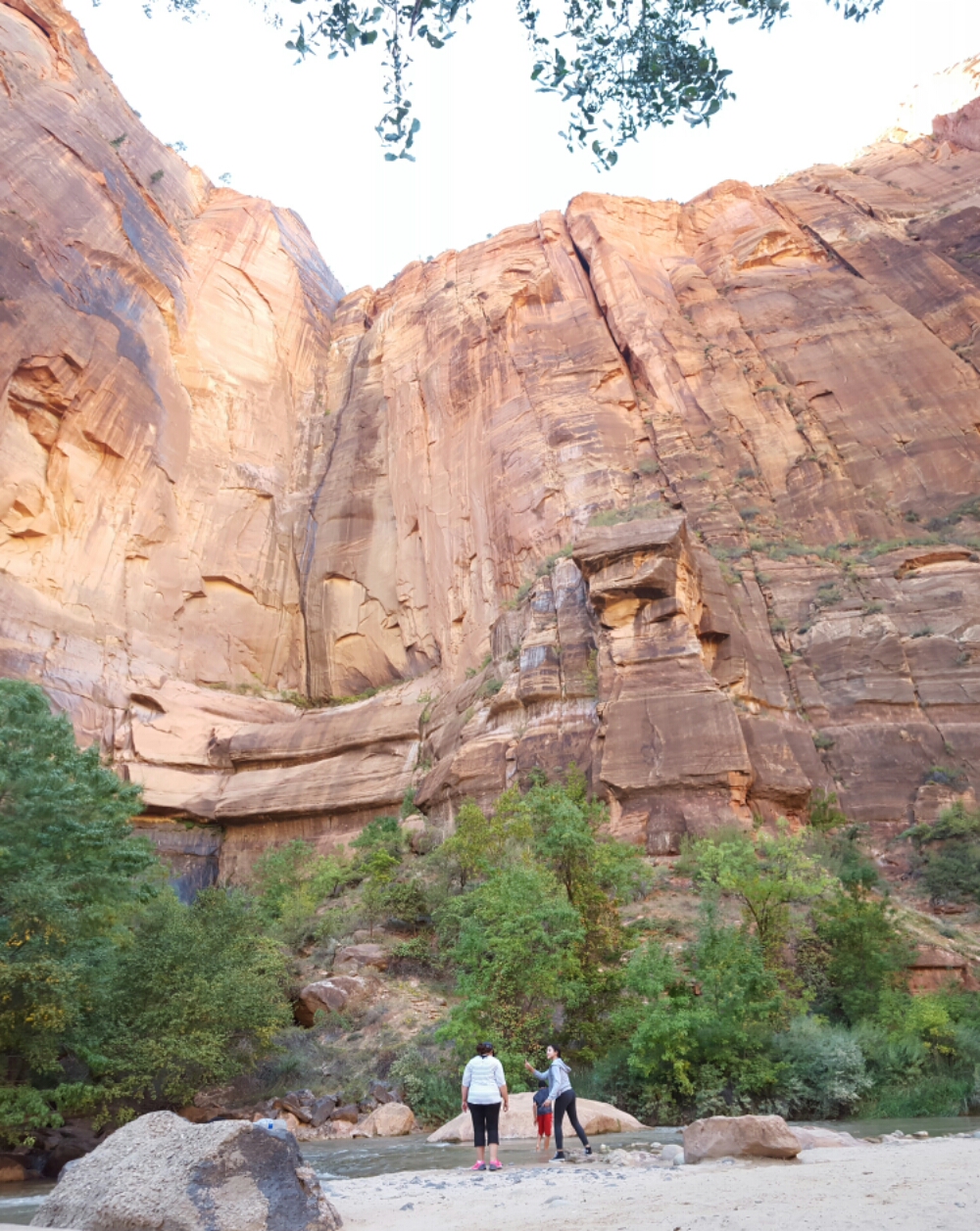 20151010_164514.jpg image