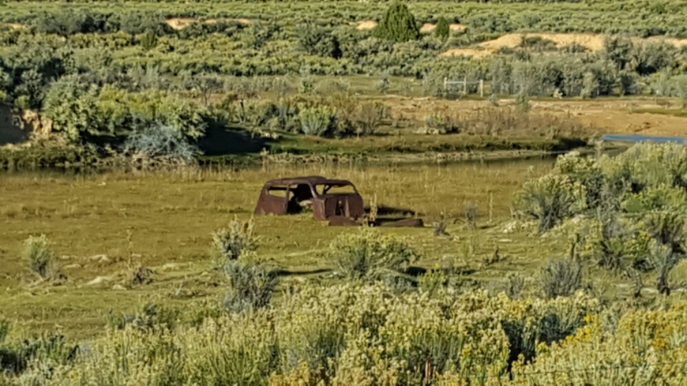 20151011_173811.jpg image