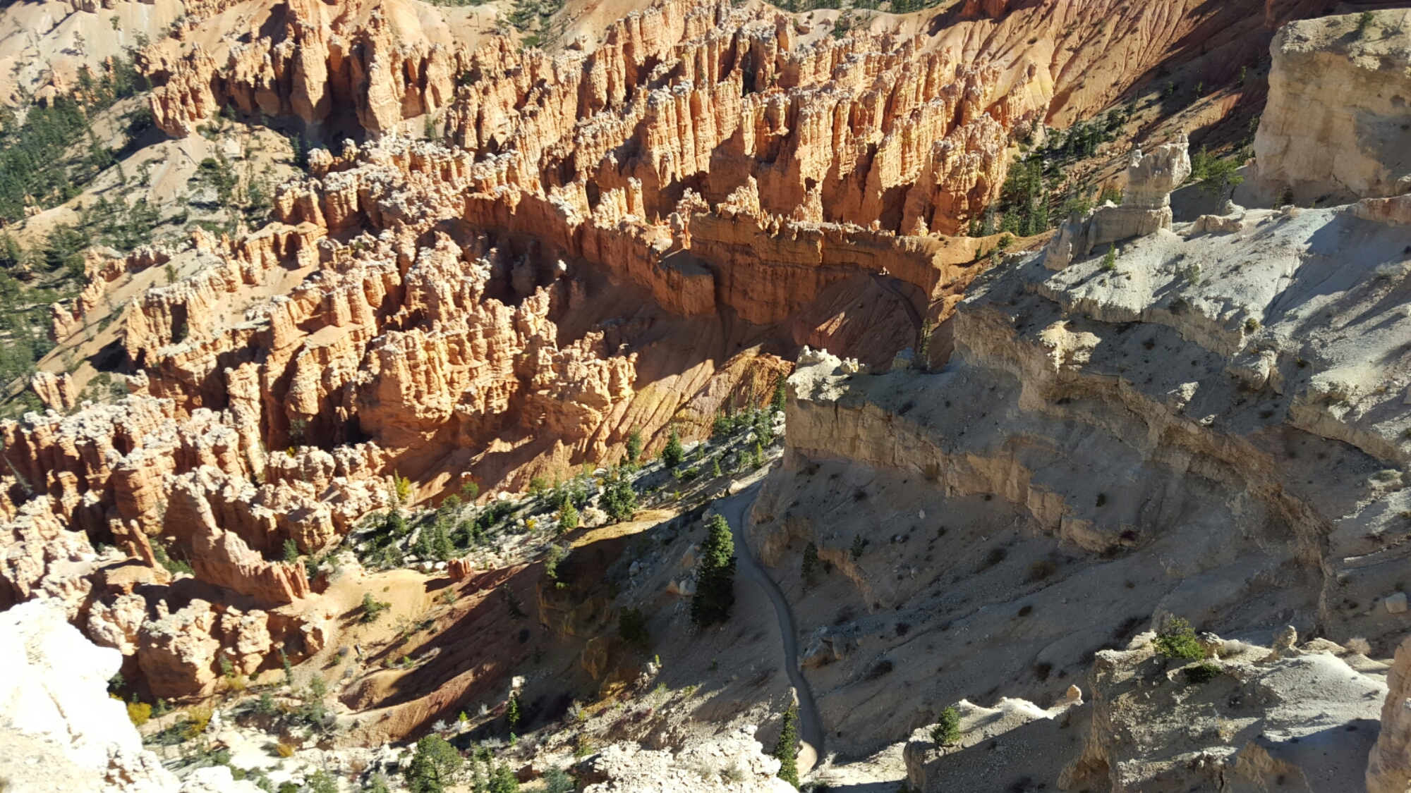20151012_125344.jpg image