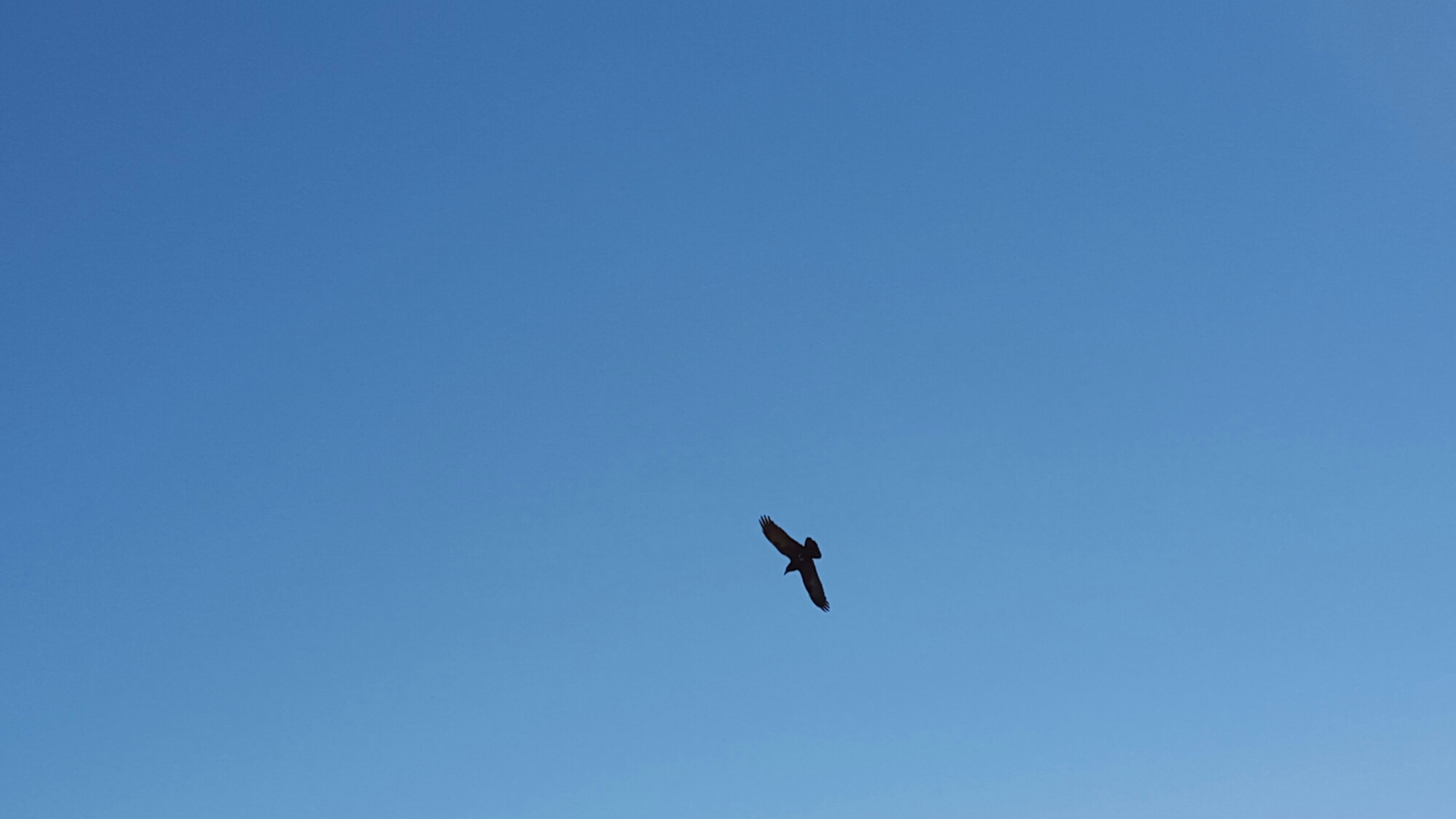 20151012_125851.jpg image