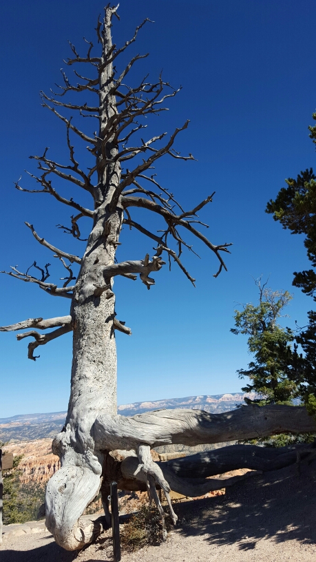20151012_130234.jpg image