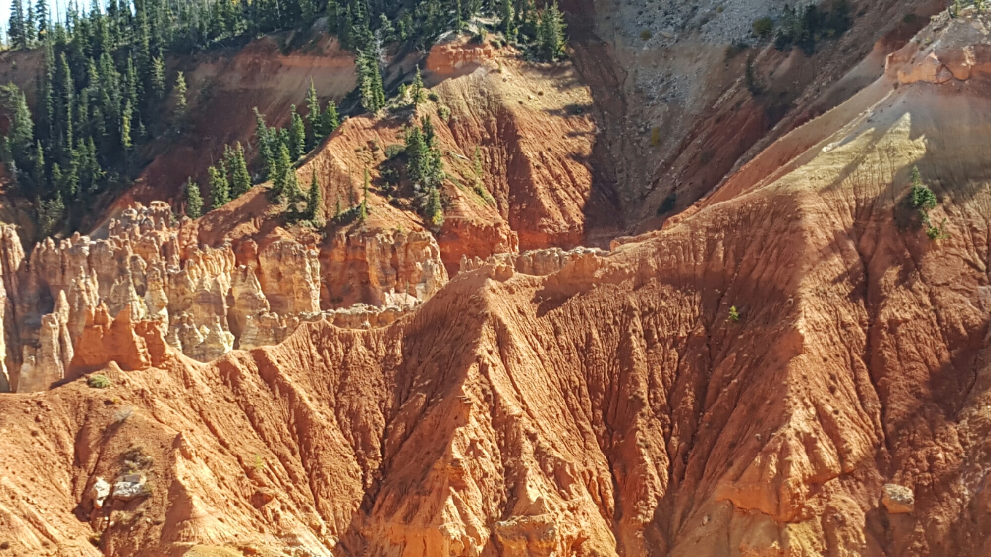 20151012_145703.jpg image