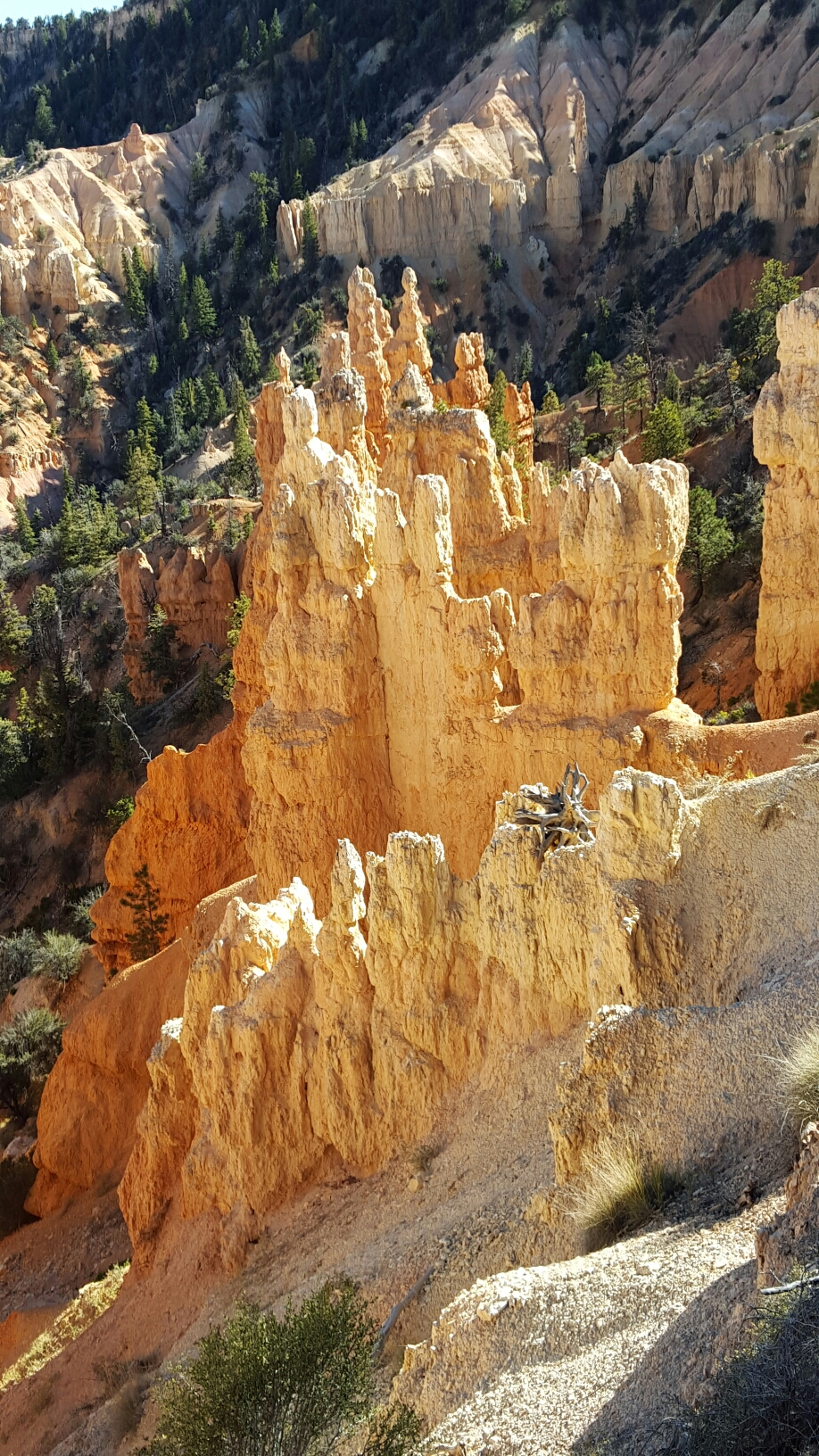 20151012_153026.jpg image