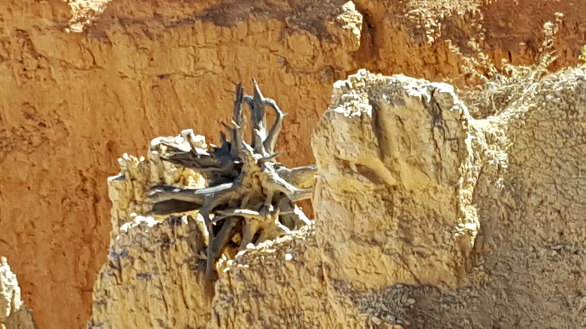 20151012_153051.jpg image