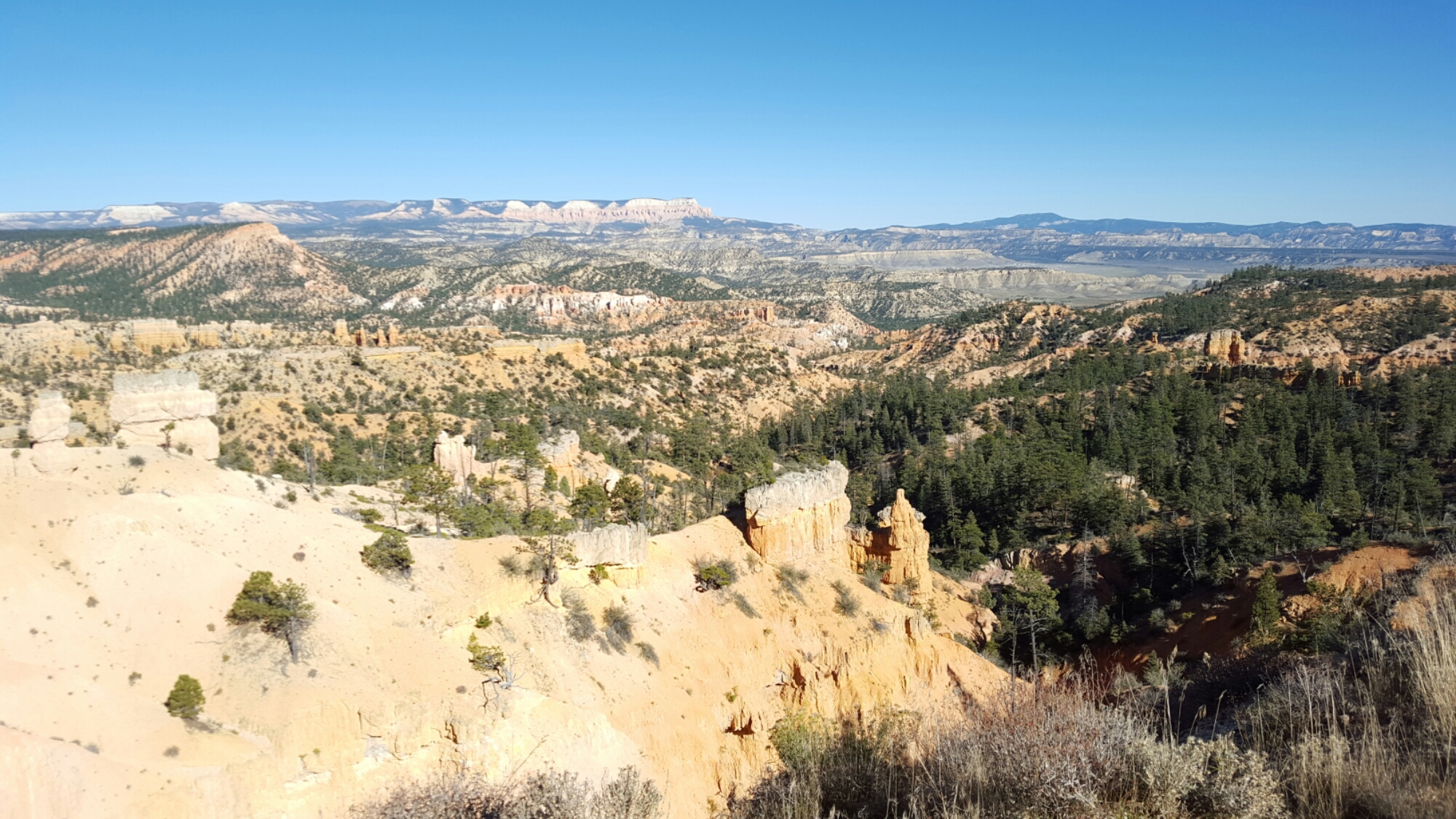20151012_160332.jpg image