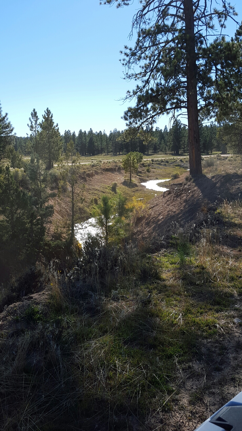 20151012_160606.jpg image
