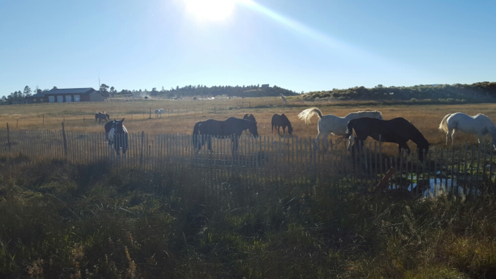 20151012_172435.jpg image
