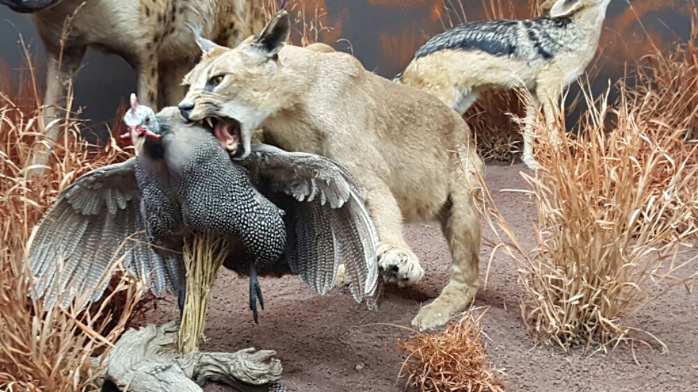 20151012_174638.jpg image