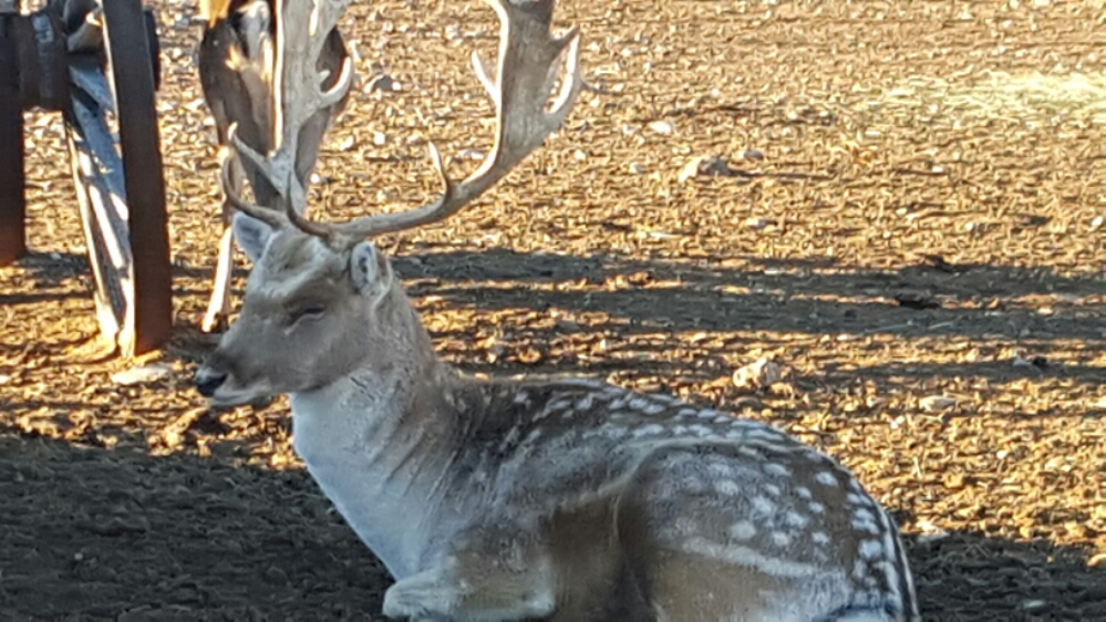 20151012_181031.jpg image