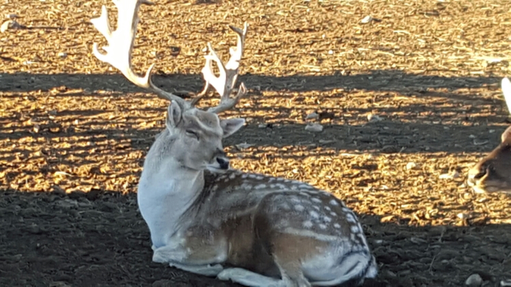 20151012_181130.jpg image