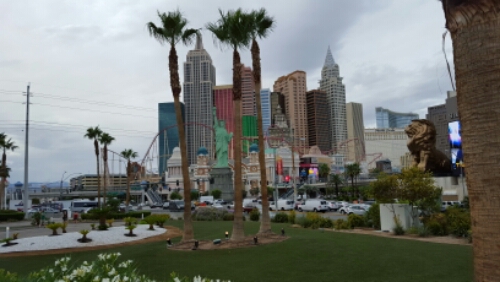 20151015_152343.jpg image