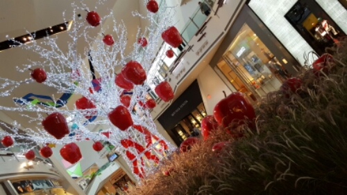 20151016_114333.jpg image