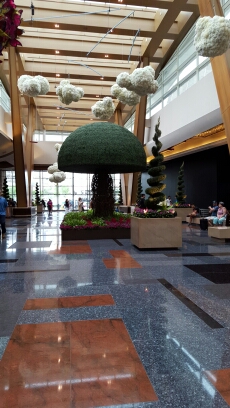20151016_120342.jpg image