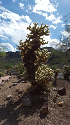 20151017_115328.jpg image