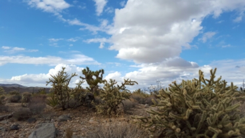 20151017_152224.jpg image